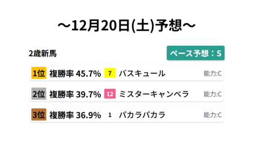 2歳新馬 データサイエンス競馬予想-12月20日(土)-
