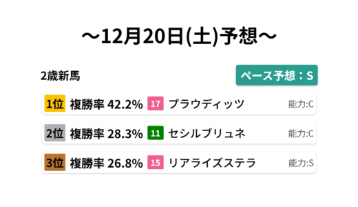 2歳新馬 データサイエンス競馬予想-12月20日(土)-