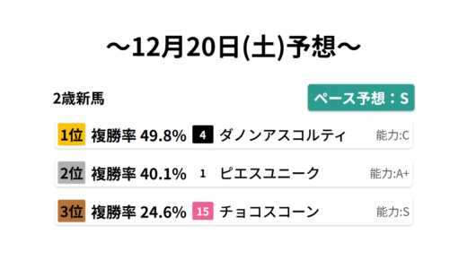 2歳新馬 データサイエンス競馬予想-12月20日(土)-