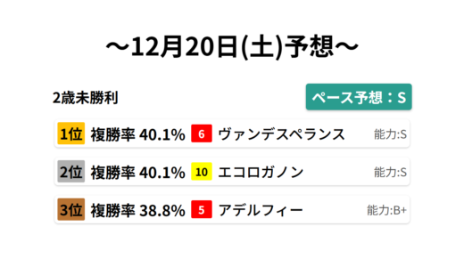 2歳未勝利 データサイエンス競馬予想-12月20日(土)-