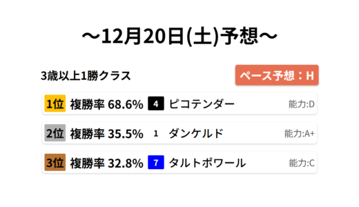 3歳以上1勝クラス データサイエンス競馬予想-12月20日(土)-