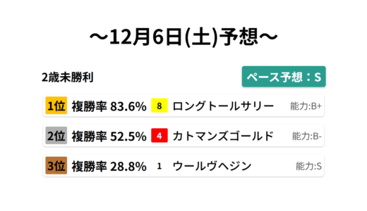 2歳未勝利 データサイエンス競馬予想-12月6日(土)-