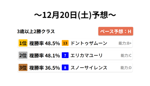 3歳以上2勝クラス データサイエンス競馬予想-12月20日(土)-