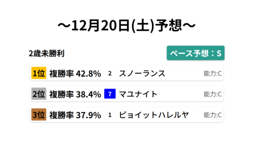 2歳未勝利 データサイエンス競馬予想-12月20日(土)-
