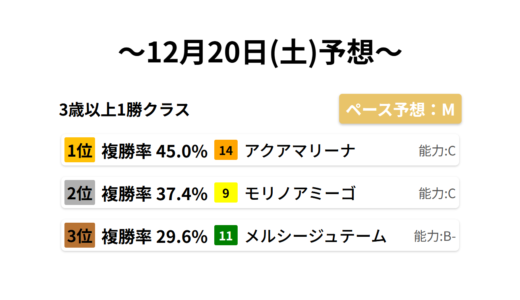 3歳以上1勝クラス データサイエンス競馬予想-12月20日(土)-