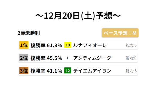 2歳未勝利 データサイエンス競馬予想-12月20日(土)-