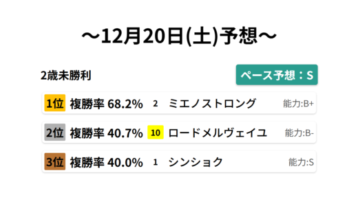 2歳未勝利 データサイエンス競馬予想-12月20日(土)-