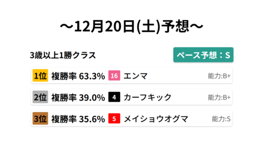 3歳以上1勝クラス データサイエンス競馬予想-12月20日(土)-