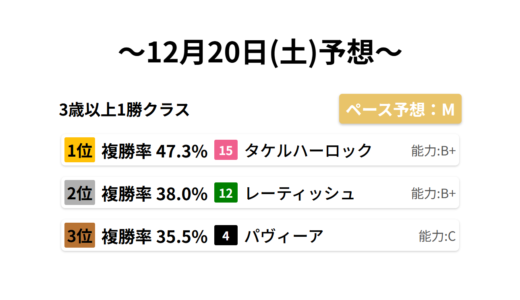 3歳以上1勝クラス データサイエンス競馬予想-12月20日(土)-