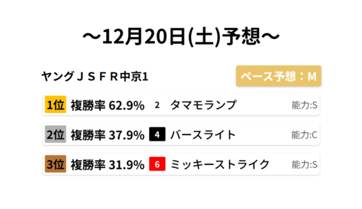 ヤングＪＳＦＲ中京1 データサイエンス競馬予想-12月20日(土)-
