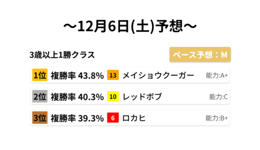 3歳以上1勝クラス データサイエンス競馬予想-12月6日(土)-