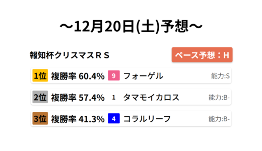 報知杯クリスマスＲＳ データサイエンス競馬予想-12月20日(土)-