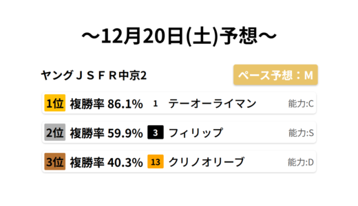 ヤングＪＳＦＲ中京2 データサイエンス競馬予想-12月20日(土)-