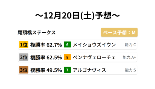 尾頭橋ステークス データサイエンス競馬予想-12月20日(土)-