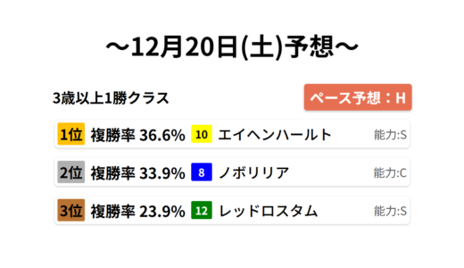 3歳以上1勝クラス データサイエンス競馬予想-12月20日(土)-