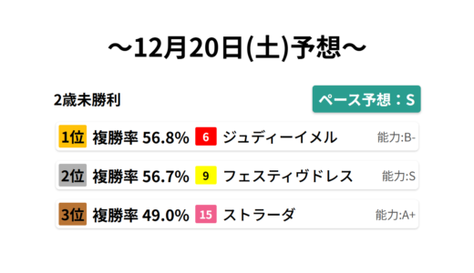 2歳未勝利 データサイエンス競馬予想-12月20日(土)-