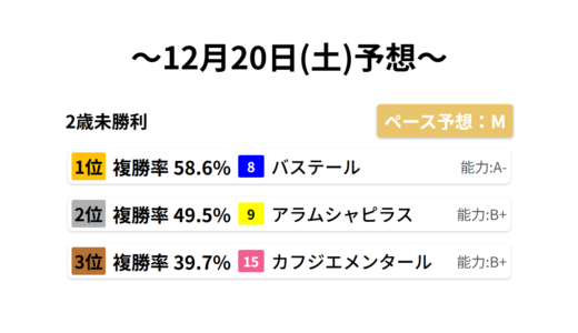 2歳未勝利 データサイエンス競馬予想-12月20日(土)-