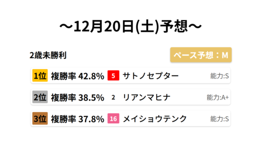 2歳未勝利 データサイエンス競馬予想-12月20日(土)-