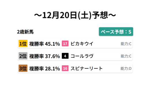 2歳新馬 データサイエンス競馬予想-12月20日(土)-