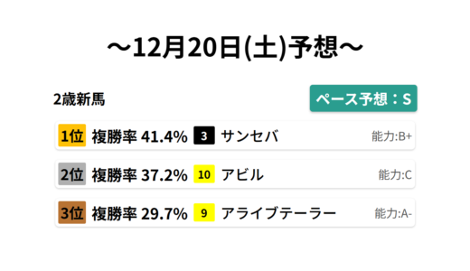 2歳新馬 データサイエンス競馬予想-12月20日(土)-