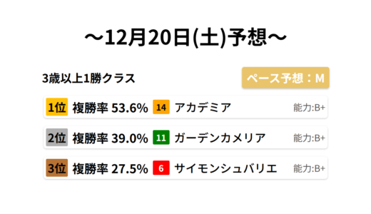 3歳以上1勝クラス データサイエンス競馬予想-12月20日(土)-