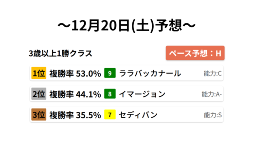 3歳以上1勝クラス データサイエンス競馬予想-12月20日(土)-