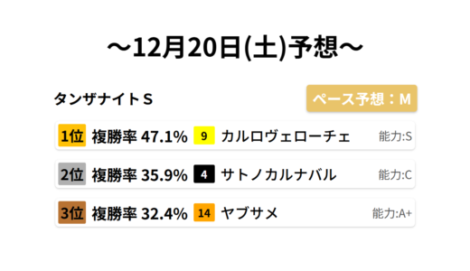 タンザナイトＳ データサイエンス競馬予想-12月20日(土)-