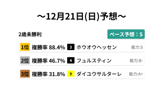 2歳未勝利 データサイエンス競馬予想-12月21日(日)-