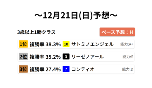 3歳以上1勝クラス データサイエンス競馬予想-12月21日(日)-