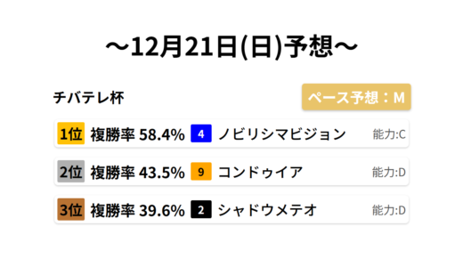 チバテレ杯 データサイエンス競馬予想-12月21日(日)-