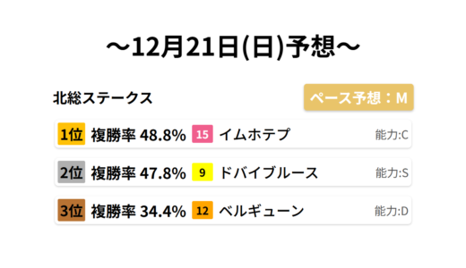 北総ステークス データサイエンス競馬予想-12月21日(日)-