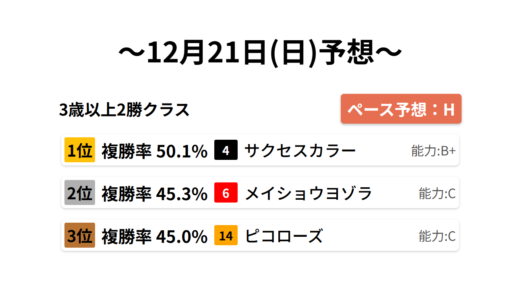 3歳以上2勝クラス データサイエンス競馬予想-12月21日(日)-