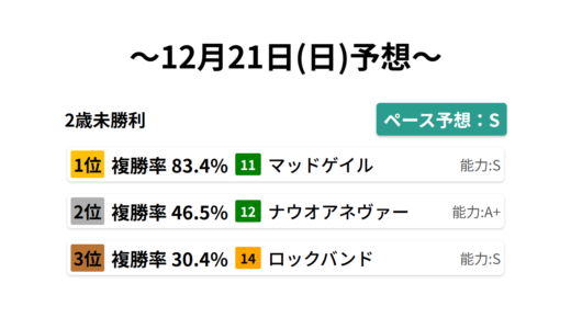 2歳未勝利 データサイエンス競馬予想-12月21日(日)-