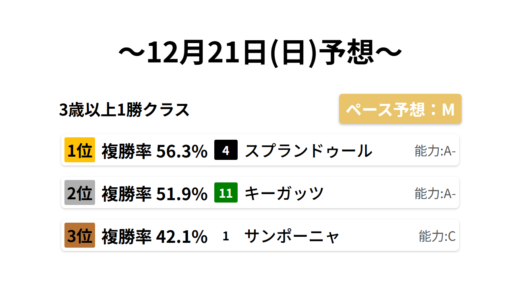3歳以上1勝クラス データサイエンス競馬予想-12月21日(日)-