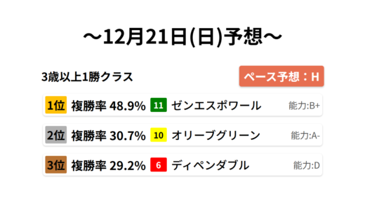 3歳以上1勝クラス データサイエンス競馬予想-12月21日(日)-