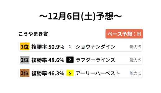 こうやまき賞 データサイエンス競馬予想-12月6日(土)-