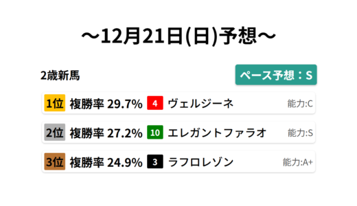 2歳新馬 データサイエンス競馬予想-12月21日(日)-