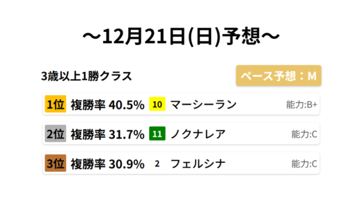 3歳以上1勝クラス データサイエンス競馬予想-12月21日(日)-