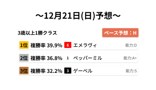 3歳以上1勝クラス データサイエンス競馬予想-12月21日(日)-