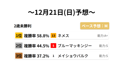2歳未勝利 データサイエンス競馬予想-12月21日(日)-
