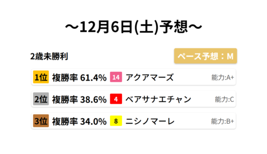 2歳未勝利 データサイエンス競馬予想-12月6日(土)-