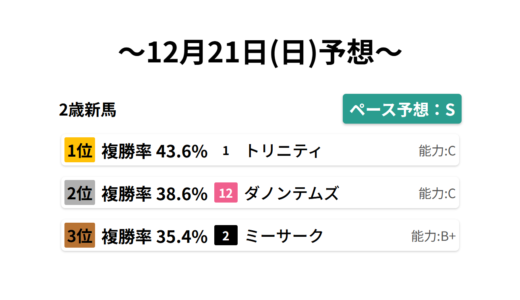 2歳新馬 データサイエンス競馬予想-12月21日(日)-