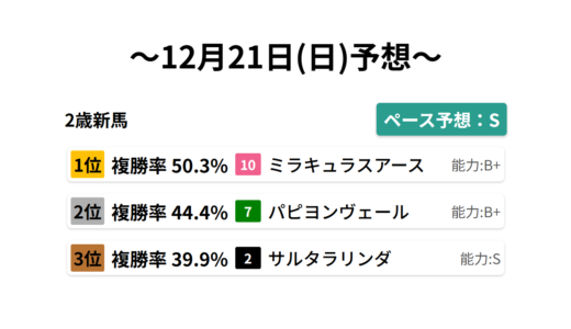 2歳新馬 データサイエンス競馬予想-12月21日(日)-