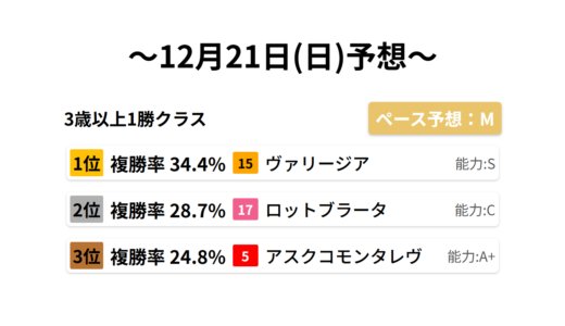 3歳以上1勝クラス データサイエンス競馬予想-12月21日(日)-