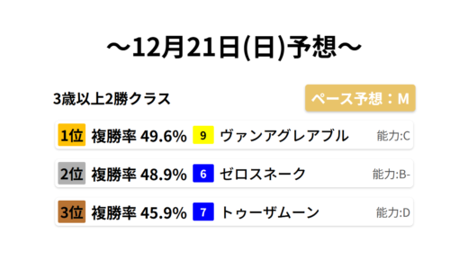 3歳以上2勝クラス データサイエンス競馬予想-12月21日(日)-