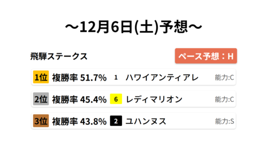 飛騨ステークス データサイエンス競馬予想-12月6日(土)-