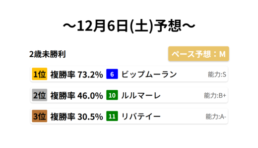 2歳未勝利 データサイエンス競馬予想-12月6日(土)-