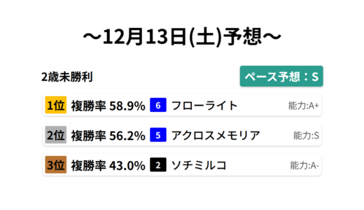 2歳未勝利 データサイエンス競馬予想-12月13日(土)-