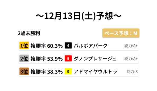 2歳未勝利 データサイエンス競馬予想-12月13日(土)-