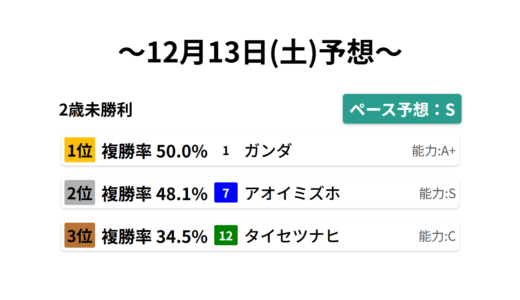 2歳未勝利 データサイエンス競馬予想-12月13日(土)-